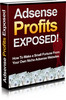 Thumbnail AdSense Profits Exposed PLR