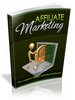 Thumbnail Affiliate Marketing Handbook Package plr