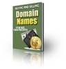 Thumbnail Buying and Selling Domain Names (PLR)