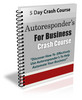 Thumbnail Autoresponders for Business - eCourse (Plr) 