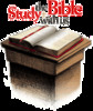 Thumbnail Bible Basics PLR Thumbnail Bible Basics PLR