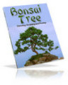 Thumbnail Bonsai Tree plr 