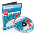 Thumbnail Brandable eBooks for Newbies - Video Series plr