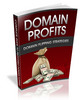 Thumbnail Domain Profits 2 - Viral eBook PLR Thumbnail Domain Profits 2 - Viral eBook PLR