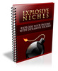 Thumbnail Explosive Niches (PLR)