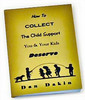Thumbnail How to Collect Child Support PLR Thumbnail How to Collect Child Support PLR