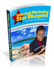 Thumbnail Internet Marketing Star Blueprint plr