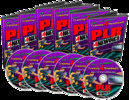 Thumbnail PLR for Newbies Video Training plr