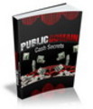 Thumbnail Public Domain Cash Secrets - eBook and Audio (PLR)