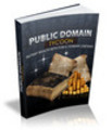 Thumbnail Public Domain Tycoon PLR