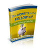 Thumbnail The Money is in the Followup plr