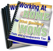 Thumbnail Work at Home for 21st Century Moms