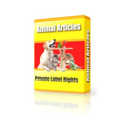 Product picture 20 Dog Grooming Articles (PLR)