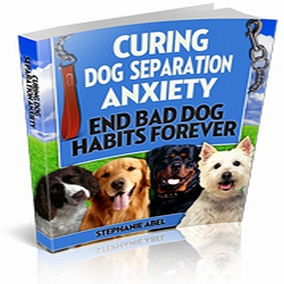 Product picture Curing Dog Separation Anxiety With Plr