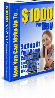 Product picture $1000 Per Day from Your Computer (PLR)