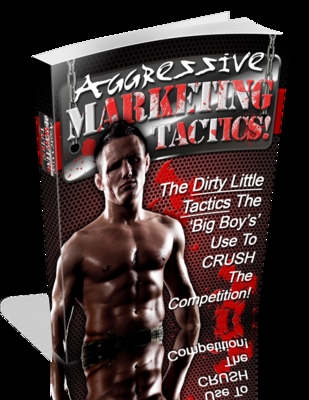 Product picture Aggressive Marketing Tactics - Website Template PLR