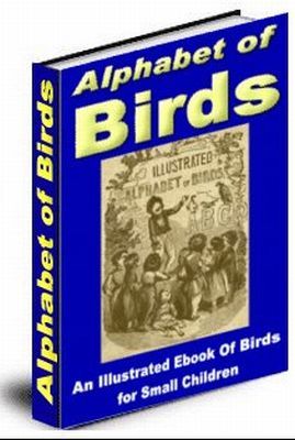 Product picture Alphabet of Birds (PLR)
