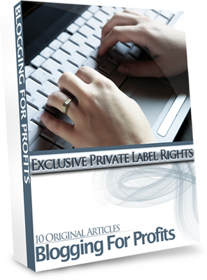 Product picture 10 Blogging for Profits Articles (PLR)
