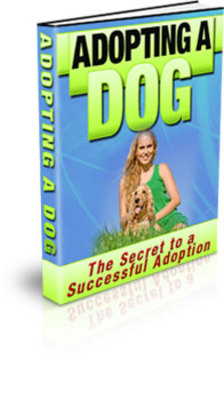 Product picture Adopting a Dog (PLR)
