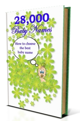 Product picture 28,000 Baby Names - Viral eBook PLR
