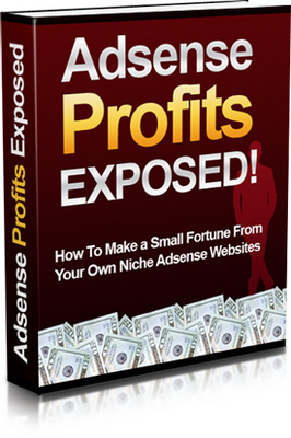 Product picture AdSense Profits Exposed PLR