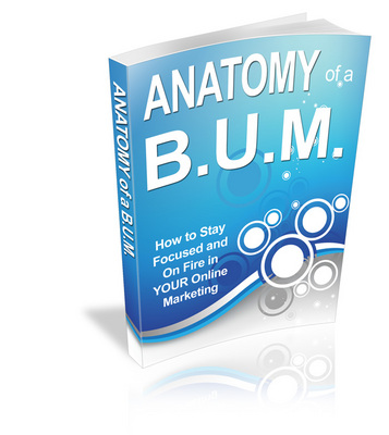 Product picture Anatomy of a B.U.M. (PLR)