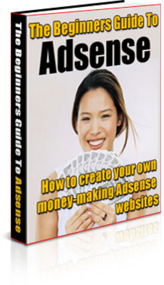 Product picture Beginners Guide to Google AdSense plr