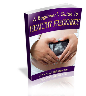 Product picture Beginners Guide to Healthy Pregnancy (PLR)