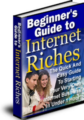 Product picture Beginners Guide to Internet Riches plr