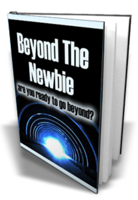 Product picture Beyond the Newbie (PLR)