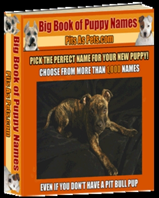 Product picture Big Book of Puppy Names plr
