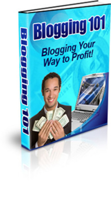 Product picture Blogging 101 (PLR)