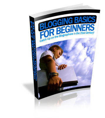 Product picture Blogging Basics for Beginners (PLR)