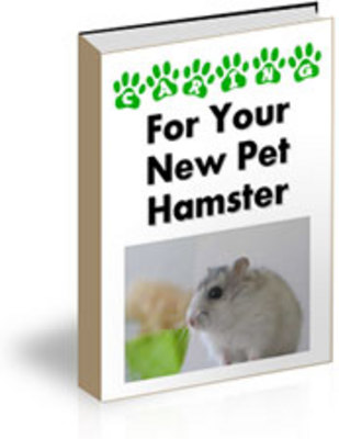 Product picture Caring for Your Hamster plr
