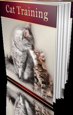 Product picture Cat Training - eBook and Audio plr 