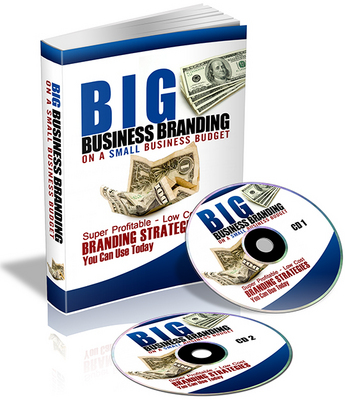 Product picture Big Business Branding on a Small Business Budget - Audio PLR