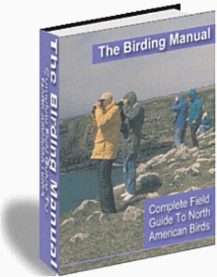 Product picture Birding for Everyone (PLR) 