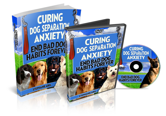 Product picture Curing Dog Separation Anxiety - eBook and Audios (PLR)  
