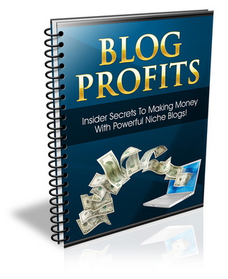 Product picture Blog Profits (PLR) 