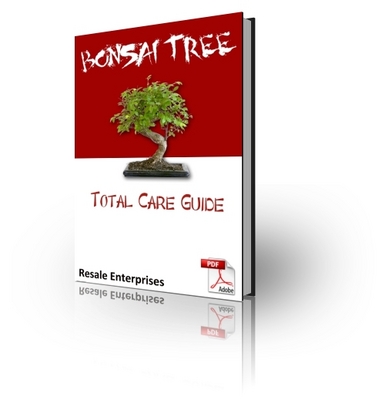 Product picture Bonsai Tree - Total Care Guide (PLR) 