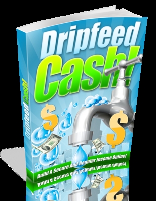 Product picture Drip Feed Cash - Membership Site Guide plr 