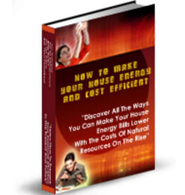 Product picture Energy Efficient House... (PLR)