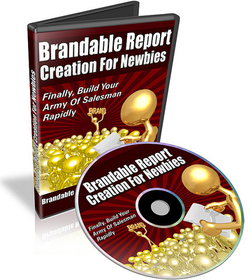 Product picture Brandable Report Creation for Newbies - Video Series (PLR)  