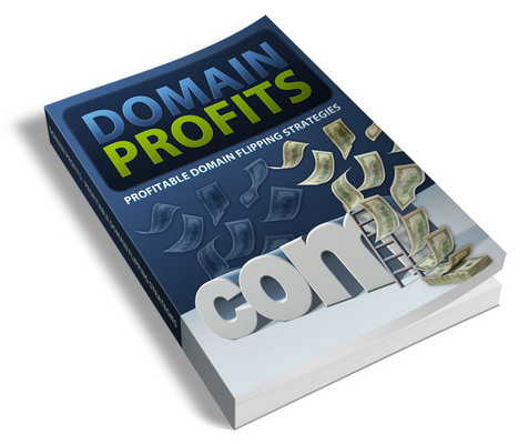 Product picture Domain Profits - Viral eBook PLR 