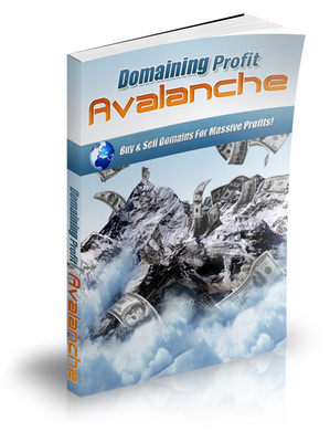 Product picture Domaining Profits Avalanche - eBook and Videos PLR 