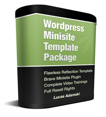 Product picture Flawless Reflection Minisite Pack (PLR)