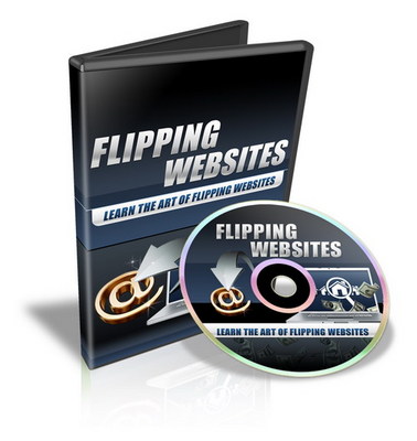 Product picture Flipping Websites - Video Series plr 