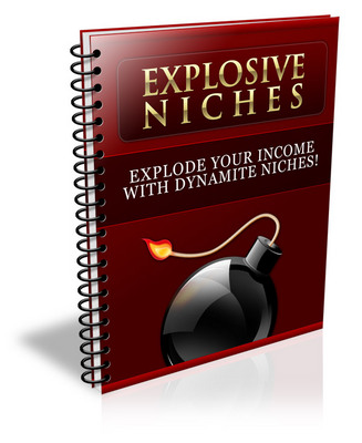 Product picture Explosive Niches (PLR)