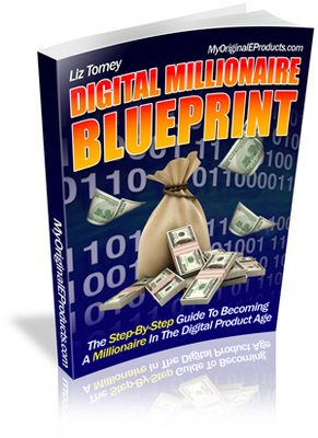 Product picture Digital Millionaire Blueprint PLR