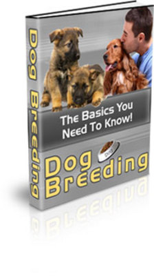 Product picture Dog Breeding - The Basics You Need to Know (PLR) 